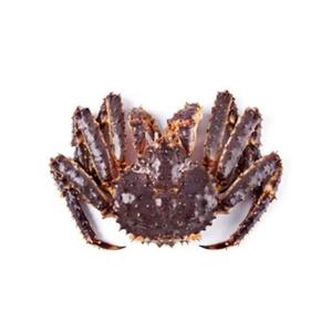 Deliciosa comida de mar, gran oferta, salvaje, capturado, congelado, cangrejo rey de Alaska, cangrejo rey en estilo, embalaje, peso, músculo, Rey rojo, cangrejo vivo - Product Image 4