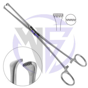 Pinces à tissus Allis 5/6 dents 15 cm droites, instrument chirurgical dentaire en acier inoxydable fabriqué par Wenquar - Product Image 2