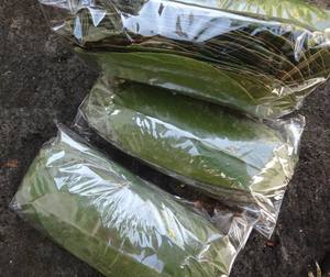 Soursop graviola leaf dried <b>evenly</b> with clean texture and consistent size for wholesale and global trade - Product Image 6