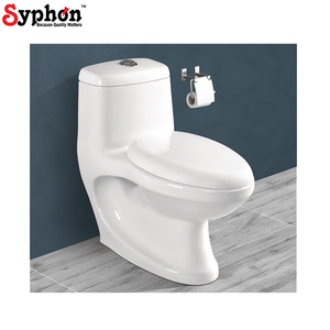 Armoire de toilette monobloc au sol de qualité supérieure au design moderne pour usage domestique et commercial du fabricant indien - Product Image 1