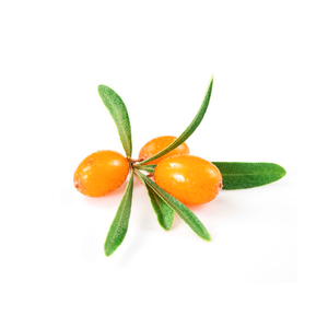 Tarte naturelle argousier baies séchées Agriculture produits de bien-être - Product Image 1