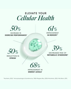 <b>Magnesium</b> Capsules <b>High</b> Absorption Ultra <b>Strength</b> for Energy Support Muscle Health - Product Image 3