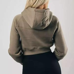 Vente en gros de sweats à capuche pour femmes sur mesure Services OEM pull uni sweat-shirt de jogging en polaire avec logo à capuche pour la saison d'hiver - Product Image 2