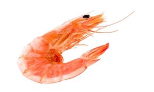 Crevettes surgelées de la meilleure qualité, crevettes surgelées entièrement cuites au Vietnam Offre Spéciale - Product Image 3