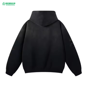 Sweat à capuche unisexe en molleton épais/éponge française de haute qualité, respirant et à séchage rapide, coupe classique, idéal pour l'hiver - Product Image 1