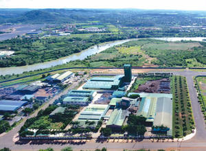 Poudre de café instantané Robusta certifiée HALAL 100% séchée par pulvérisation en vrac Vietnam noisette crémeuse fruitée amère certifiée HACCP ISO - Product Image 6