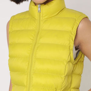 Nouveau gilet matelassé pour femme, hiver, printemps, automne, toutes les couleurs, rembourré, chaud, sans manches, veste légère, gilet matelassé personnalisé - Product Image 6