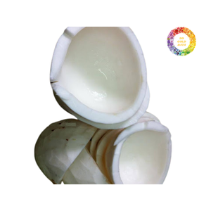 Coco congelado al por mayor, la mejor opción para los fabricantes de bebidas y postres - Product Image 6