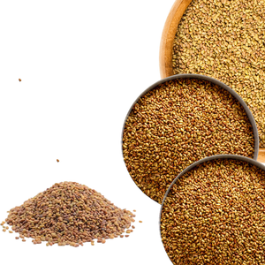 Luzerne | Source de protéines vertes pour la volaille et le bétail - Product Image 4