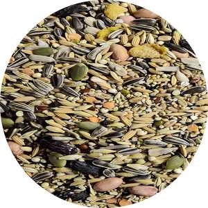 Mezcla de Semillas Orgánicas de Alta Proteína para Aves, Periquitos, Canarios, Loros y Gallinas - Mijo Amarillo, Apoyo Inmunológico, Cuidado de la Salud de las Mascotas - Product Image 4