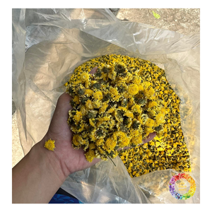 Thé de chrysanthème jaune naturel, thé de fleurs de chrysanthème séchées à feuilles mobiles, bourgeons de camomille à base de plantes, infusion de fleurs de marguerite - Product Image 1