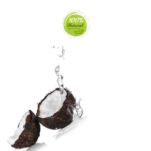 Alternativas de queso vegano mejoradas con la profundidad de nuez del producto agrícola de coco seco - Product Image 4