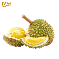 Handgeplukte verse durian uit Thailand, perfect rijp, romige exotische tropische smaak, de beste smaak, Khey Taladthai, 13,5 cm, kwaliteit A, 0,5 kg