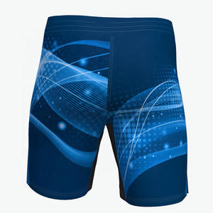 Shorts de MMA pour hommes légers, sportifs, solides, écologiques, à séchage rapide, respirants, vêtements de sport pour la lutte, entraînement, équipement de combat extensible - Product Image 4