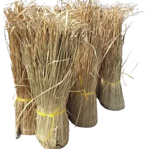 GREAT DEAL From Natural Grass Thatch Roofing - Vietnam's Natural Grass Thatch Roofing Panel