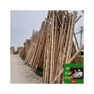 Tubo de postes de bambú para proyectos de construcción con material sostenible duradero de alta resistencia que proporciona soporte de construcción - Product Image 4