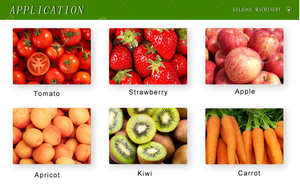 Línea de Producción de Pasta de Tomate de Alta Calidad, Nueva Máquina Concentradora de Pasta de Tomate Turca de 10 Toneladas por Día - Product Image 2