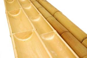 100% división de bambú natural/Vietnam crudo de bambú/poste de bambú para la Agricultura de plantas de cultivo - Product Image 3