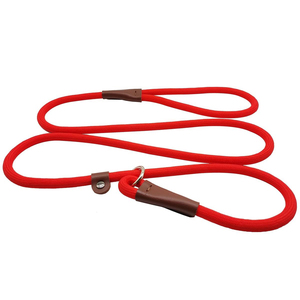 2024 nouveauté gros personnalisation chien laisse élastique extérieur marche chien corde avec boucle de sécurité Service OEM - Product Image 1