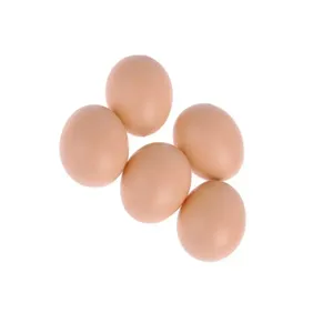 โต๊ะอินทรีย์ฟาร์มไข่ไก่สดเปลือกสีขาวไก่ไข่ฟัก - Product Image 4
