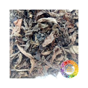 Vente en gros de gelée d'herbe noire séchée à base de plantes pour exportation en gros Fourniture de qualité supérieure avec longue durée de conservation et prix compétitif - Product Image 6