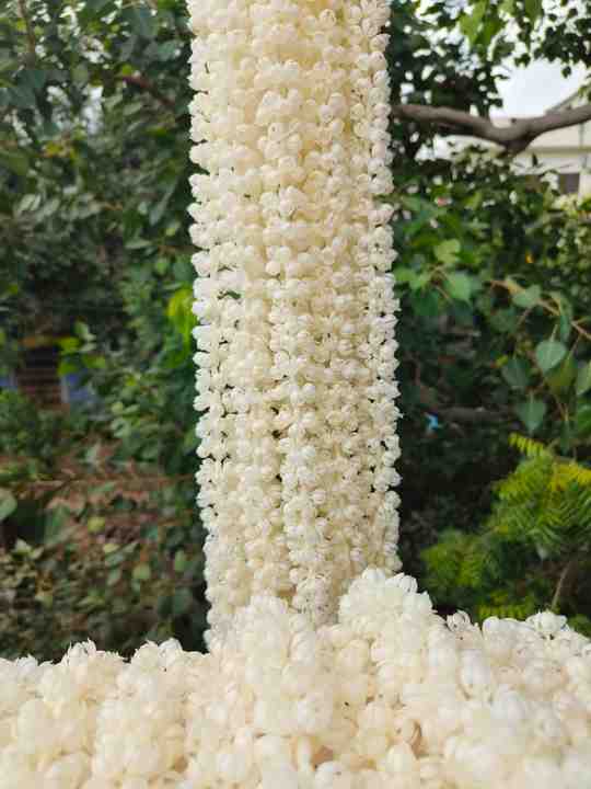 Artificial Jasmine Backdrop Curtain for South Indian Weddings & Eids Islamic Nikah Pardah Partition for Bride & Groom Decor