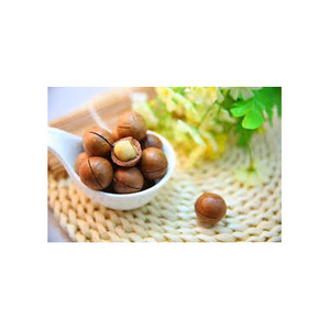 Alimentos saludables, nueces de macadamia con cáscara, polvo de Maca tostado salado crudo, polvo de Maca nutritivo de estilo seco - Product Image 3