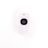 Télécommande RF pour porte de garage 433MHz Récepteur sans fil à 4 canaux Interrupteur marche/arrêt pour porte de date
