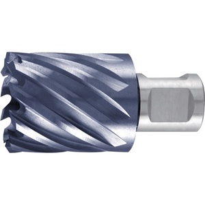 Foret à trépan multifonction 12 mm HSS avec revêtement TiAlN, profondeur de coupe 30 mm, Weldon RUKO - Product Image 1