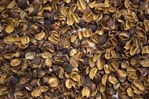 Meilleure vente ce mois-ci Compost de café de haute qualité 2024 exporté du Vietnam séché pour l'alimentation animale - Product Image 4