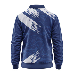 Design personnalisé hommes 100% polyester Baseball Varsity veste High Street brodé col montant lâche fermeture éclair printemps Satin Bomber - Product Image 3