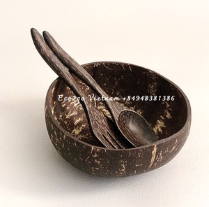 Vente en gros 100% bol en coquille de noix de coco poli écologique naturel cuillère à noix de coco durable bon prix pour le développement durable - Product Image 3