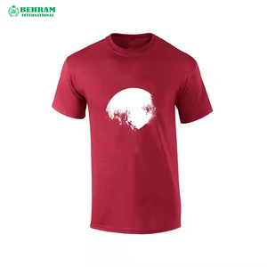 Camiseta Blanca Lisa de Algodón 100% de 180 g/m², Corte Regular, Ecológica, Antiarrugas, con Impresión de Logotipo Personalizado en la Parte Delantera, para Hombre, Precio Económico - Product Image 2