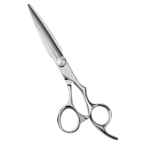 Ciseaux professionnels droits et mats de 5,5 pouces, à long manche, pour droitiers, en acier inoxydable, nouvelle mode, beauté, barbier - Product Image 4