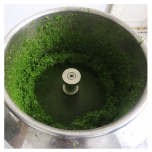 100% Feuille de manioc fraîche congelée du Vietnam, feuille de manioc fraîche congelée idéale pour les soupes nutritives et une cuisine saine - Product Image 3