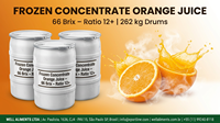 Concentré de jus d'orange en vrac du Brésil - Congelé 66 Brix Origine Sao Paulo 100% Pur Durée de conservation de 24 mois en fût