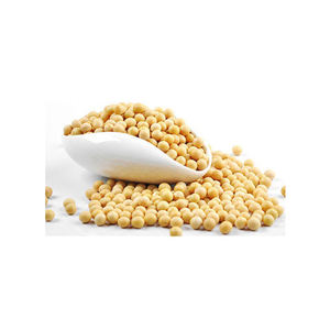 Soja OGM premium dans l'emballage d'exportation pour les réseaux d'approvisionnement agricole - Product Image 1