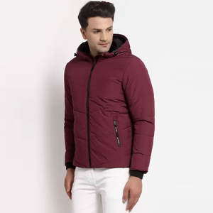 Chaqueta de Invierno Acolchada para Hombre, Estilo Moderno, Nueva Llegada 2026, Logotipo Personalizado OEM, Impermeable, para Exteriores, a Bajo Precio - Product Image 5
