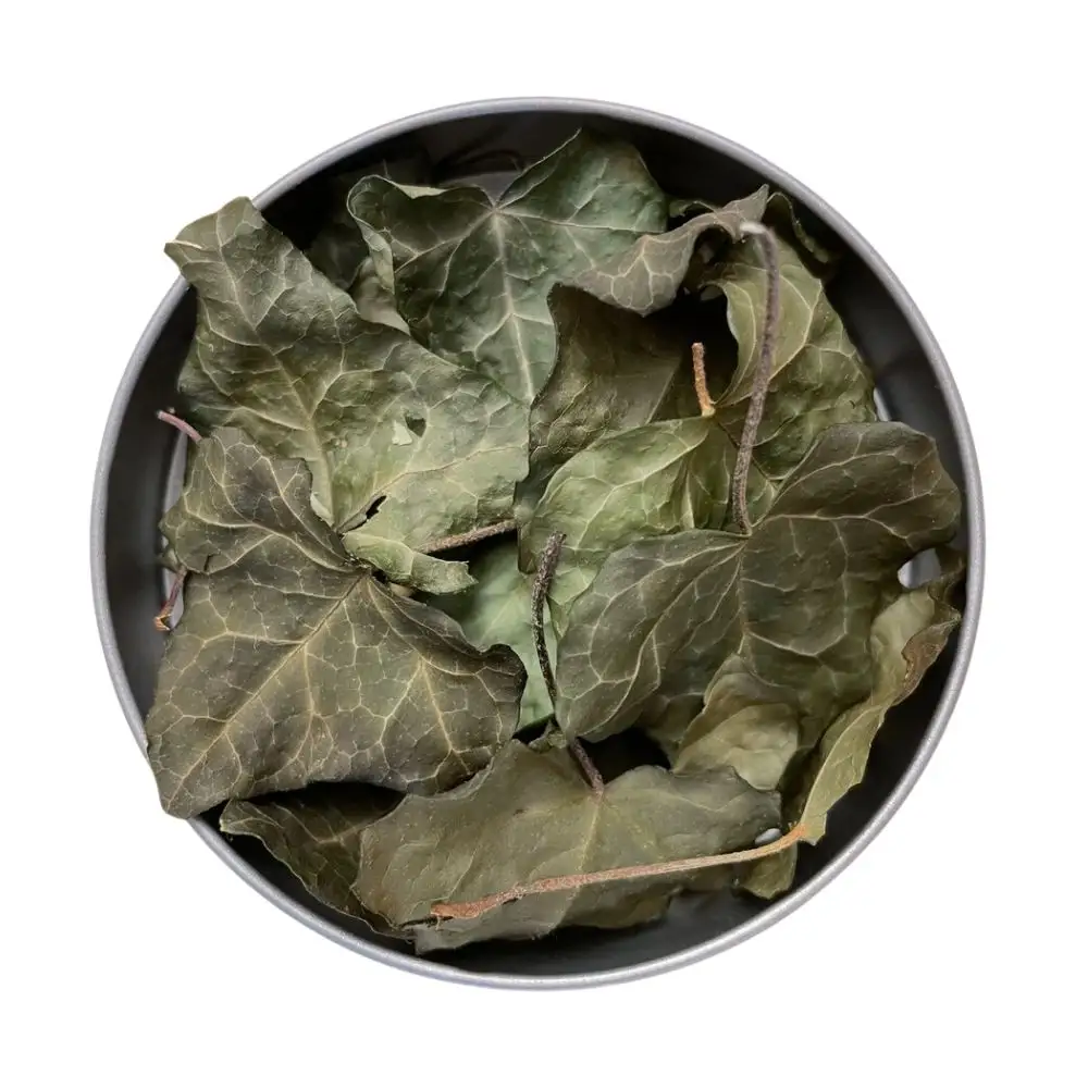 Premium Quality Turkish Dried Ivy Leaves - 100% Natural Medicinal Raw Material, Popular Mediterranean Healing Herbs adn Spices