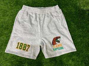 Maillot personnalisé Florida A & M FAMU Maillot de football pour homme avec logo et couleurs de l'équipe - Product Image 5