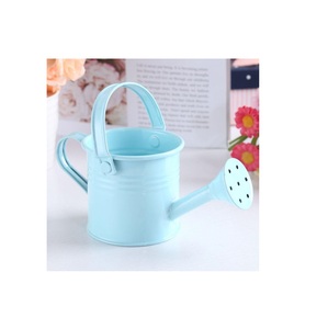 Nouveau design de décoration d'intérieur, arrosoir en fer décoratif pour jardin, canne à eau intérieure et extérieure - Product Image 6