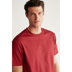 GRIMELANGE RUDY T-Shirt Basic da Uomo in Cotone Organico 100% Traspirante con Collo Rotondo Alan Ic Gostermeyen - Product Image 4