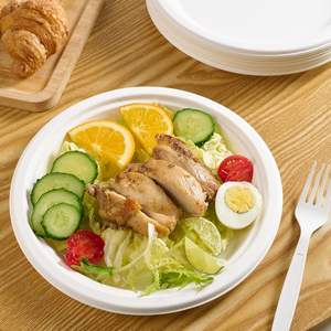 Assiettes à dîner compostables éco-conscientes 9 bagasse de canne à sucre durable sans plastique vaisselle lavable au lave-vaisselle pour les fêtes stockées - Product Image 3