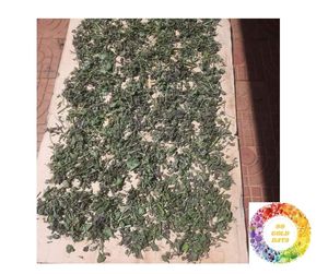 Feuilles de périlla séchées de qualité supérieure pour l'exportation en vrac Shiso vert et Britton Perfection Les meilleures feuilles de périlla séchées Offre compétitive - Product Image 5