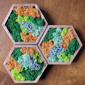 Mousse organique préservée en direct de haute qualité pour décoration intérieure, <span class=keywords><strong>art</strong></span> mural unique pour Noël, Pâques, Halloween dans les restaurants <span class=keywords><strong>et</strong></span> les maisons - Product Image 5