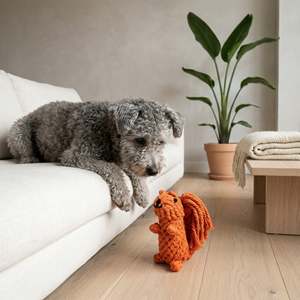 Oliver the Squirrel Eco-Friendly <b>Interactive</b> Pet <b>Toy</b> 40cm Modern Cotton Rope <b>Cat</b> Teaser for Dogs and <b>Cats</b> Animation Style - Product Image 5