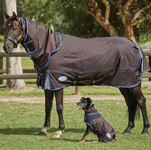 Alfombra DE ASISTENCIA equina de caballo personalizable de alta calidad, manta impermeable transpirable para montar, producto ecuestre de nailon Ripstop - Product Image 4