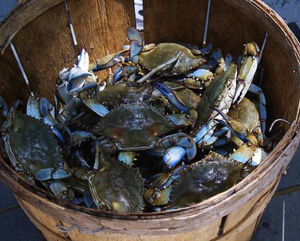 Cestas de cangrejo de bambú de madera dura OEM con cubierta y asas de Vietnam-Muestras disponibles para probar la calidad - Product Image 3