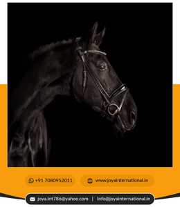 Bride en cuir Micklem pour l'équitation occidentale Produits de cheval intelligents - Product Image 6