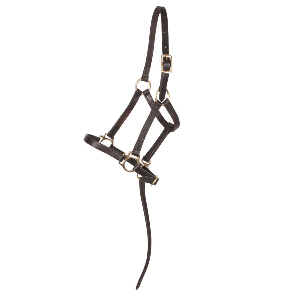 Экспортная качественная кожа hater Удобная натуральная кожа с подкладкой Horse Halter по лучшей цене